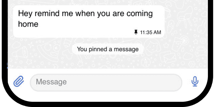 Pin message feature preview